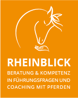 Rheinblick Pferdecoaching
